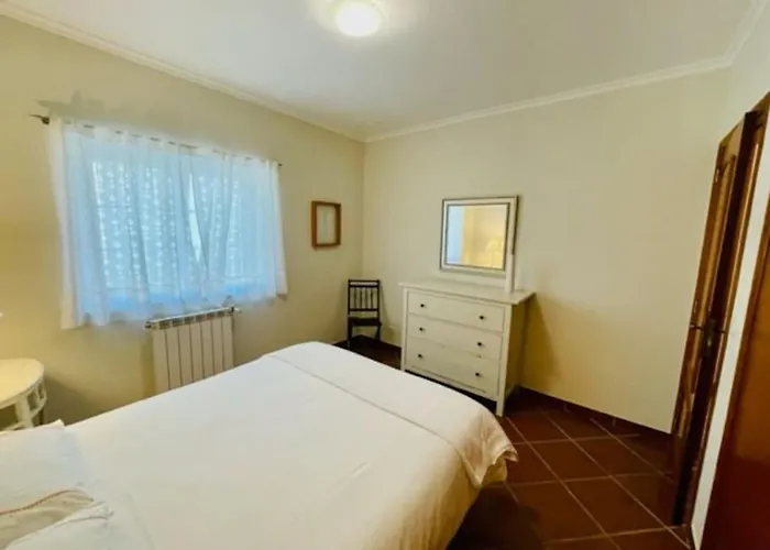 公寓 Palm's Tree 埃里塞拉